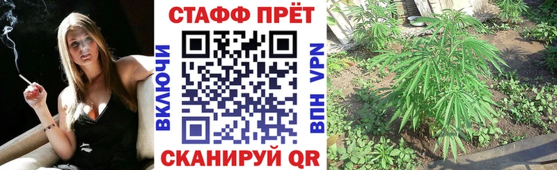 Купить наркотики Каргополь Марихуана  Alpha-PVP  ГАШИШ  Псилоцибиновые грибы  КОКАИН 