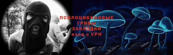 дмт Верхний Тагил