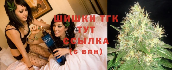 тгк Верея