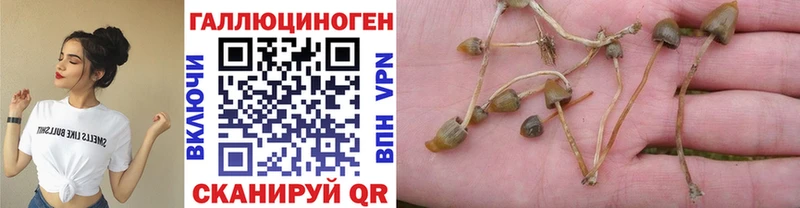 Псилоцибиновые грибы ЛСД  Каргополь 