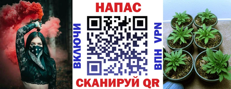 Бошки марихуана Ganja Каргополь
